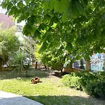 ホテル Dalia ネセバル