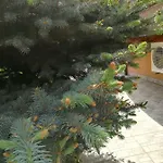 Dalia ネセバル