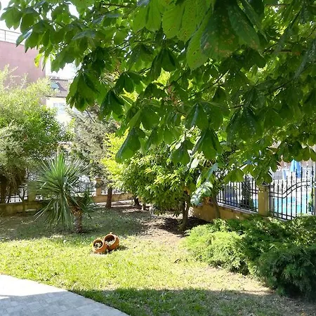 מלון Dalia נסבר