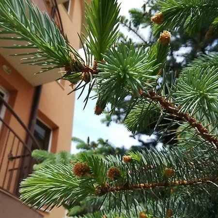 Hotel Dalia Nesebăr