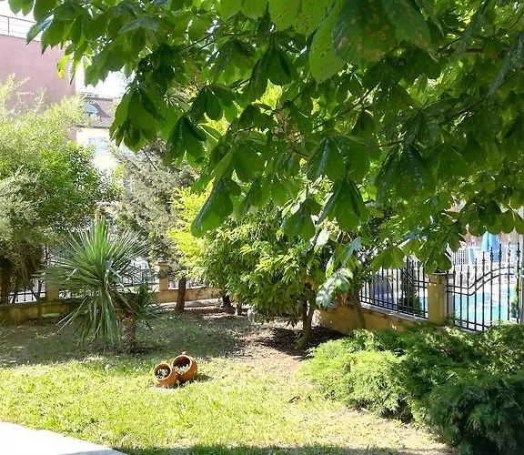 Отель Dalia Несебр