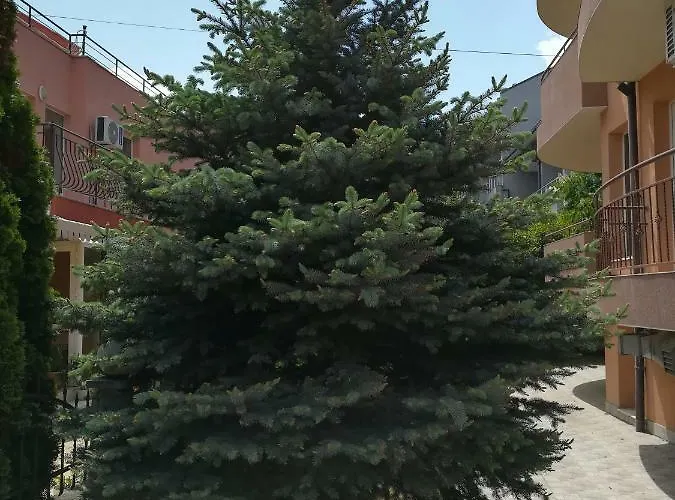 Отель Dalia Несебр